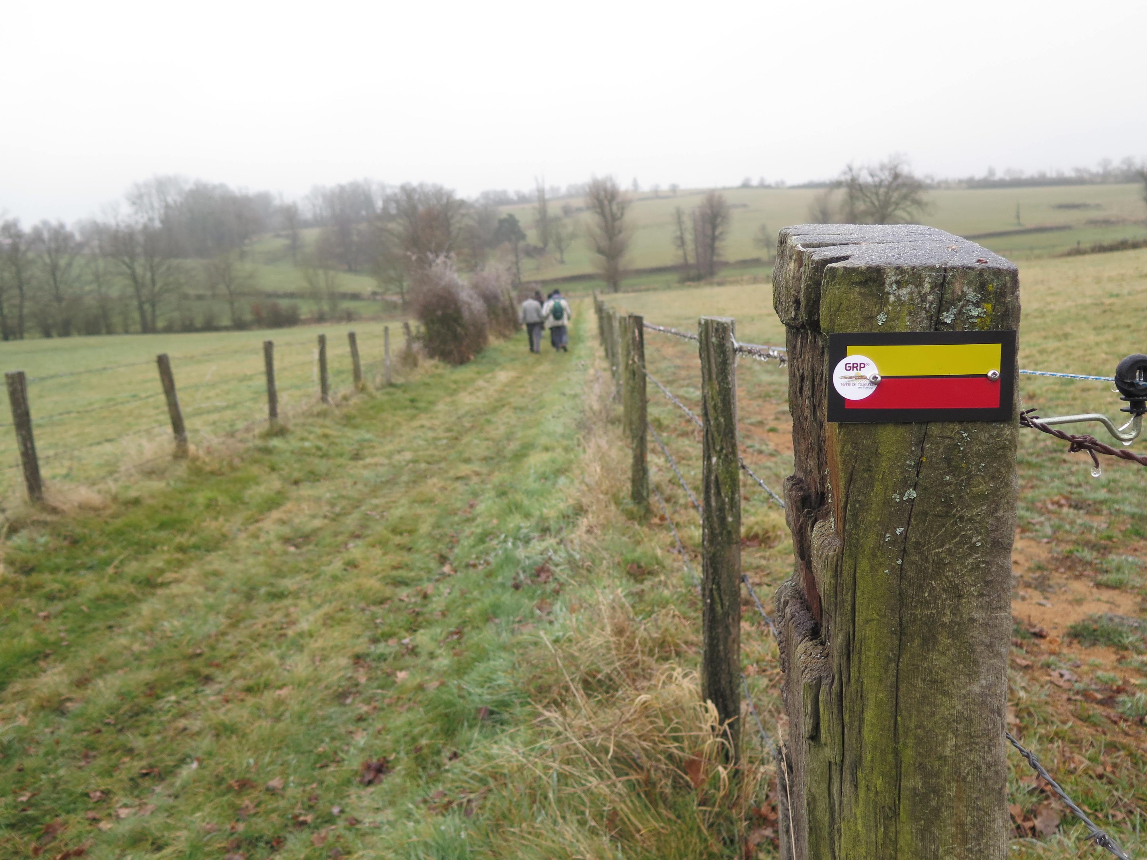 GR® de Pays Terre de Tisseurs en Forez : déjà 223 km balisés