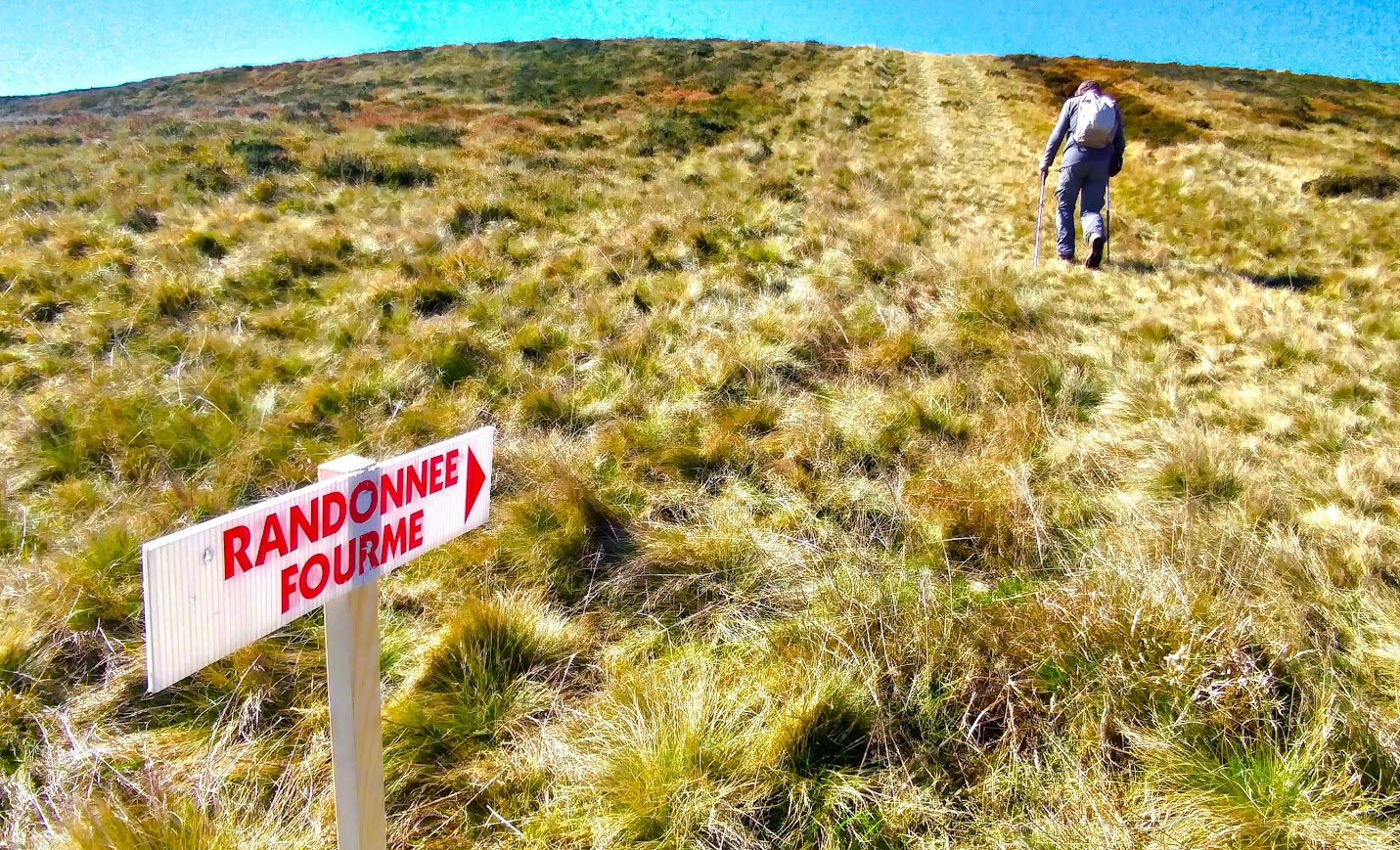 Les randonnées de la Fourme en grande forme !
