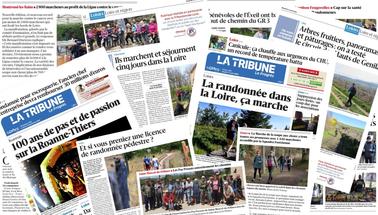 Revue de presse : une rétro de 2025