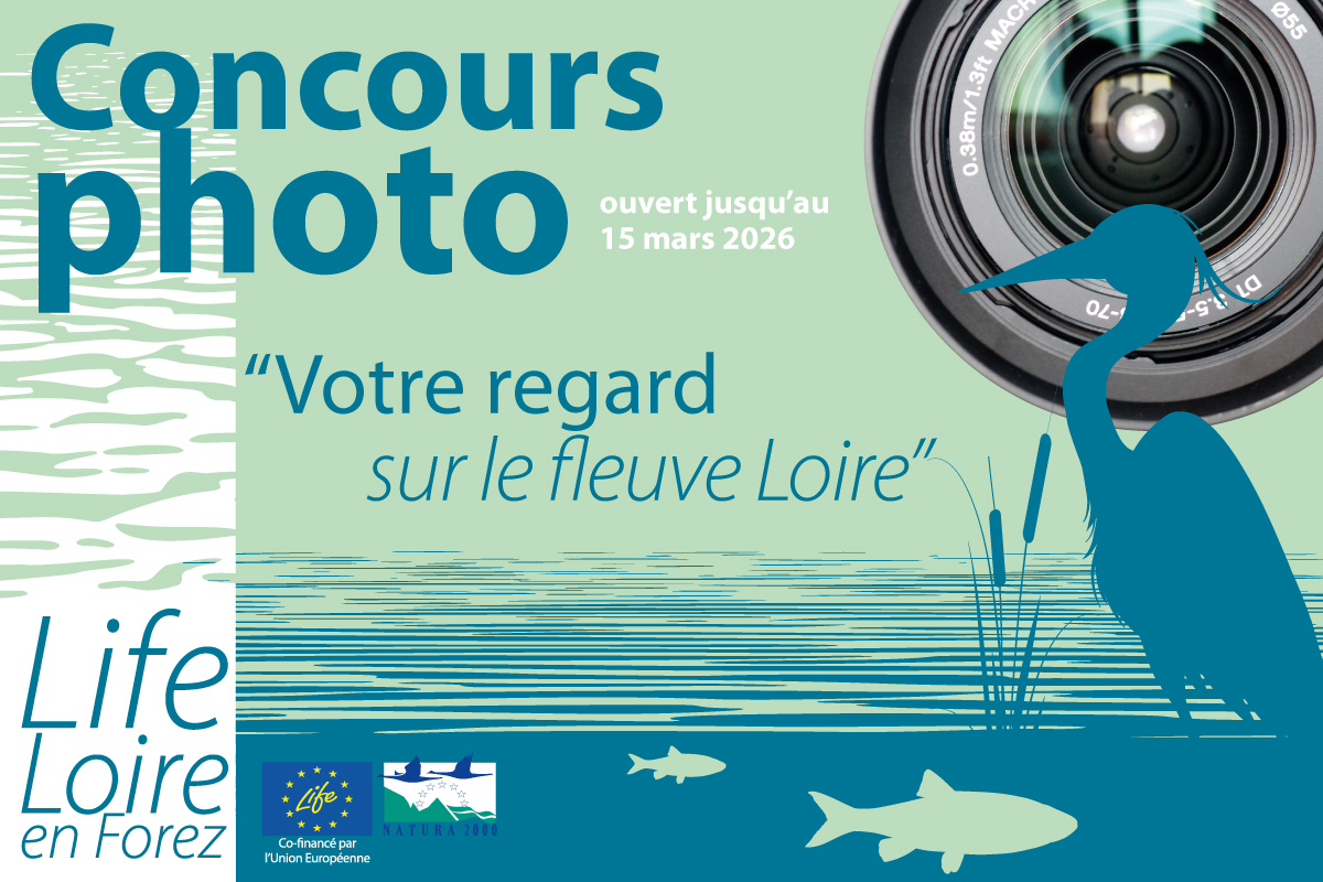 Concours photo : votre regard sur le fleuve Loire