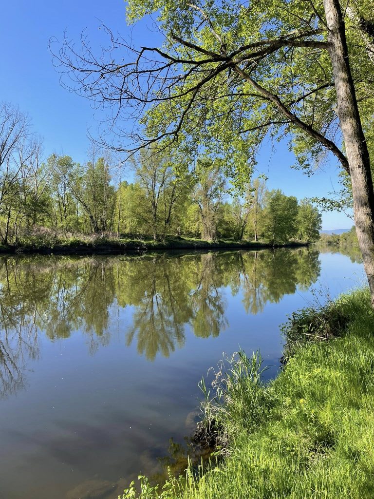 Vidéos : sur la toute nouvelle branche du GR®3 en bords de Loire