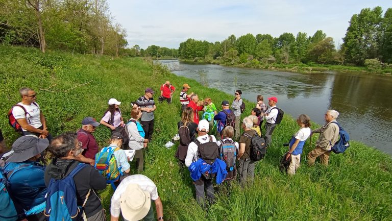 Retour sur les 3 premières randos 2026 de LIFE Loire en Forez