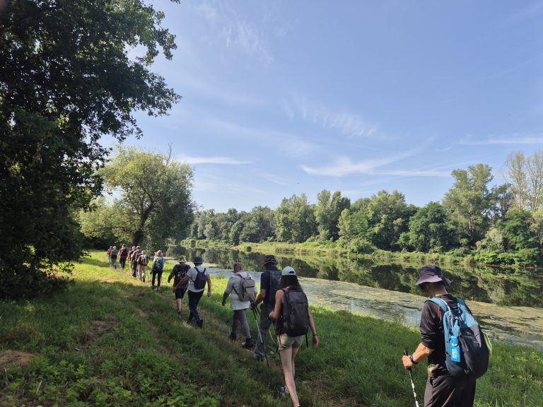 LIFE Loire en Forez : retour sur les randos et la fête de juin