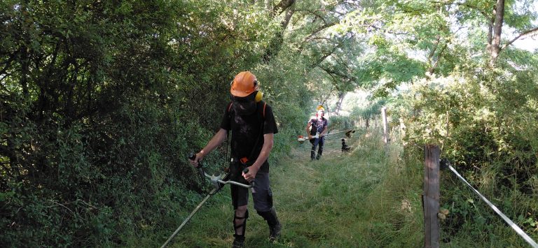 Les Godelons veillent sur les sentiers de deux communes
