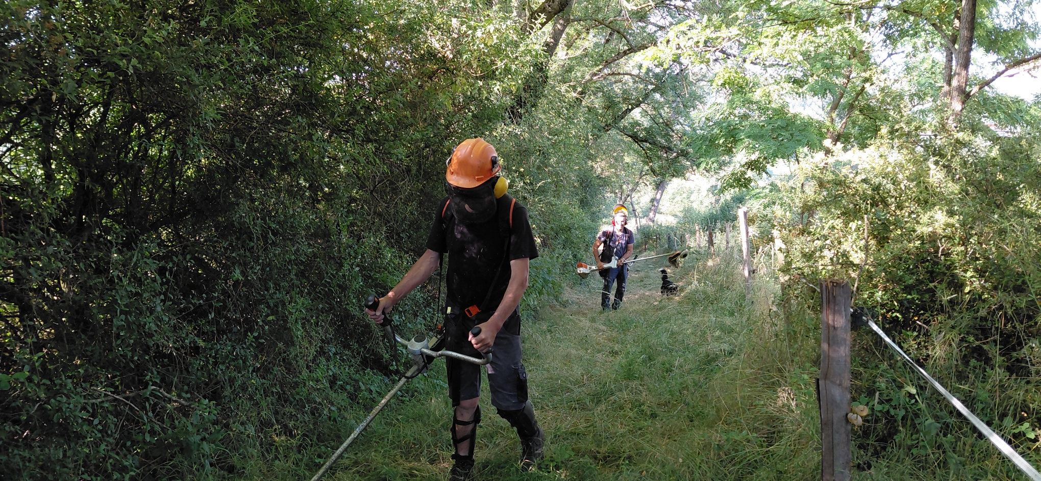 Les Godelons veillent sur les sentiers de deux communes