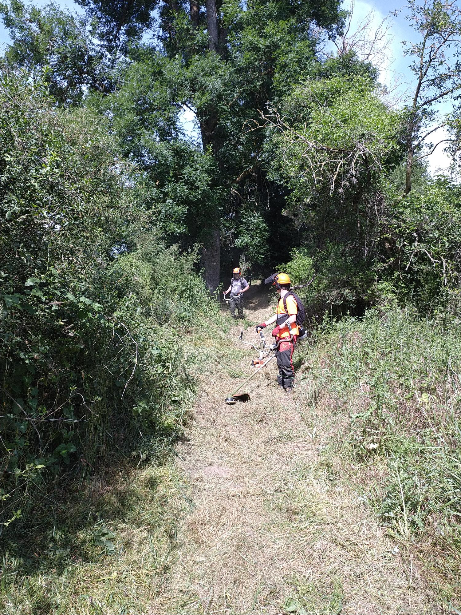 L’équipe rivières de Loire-Forez entretient le GR® 3 en bord de Loire
