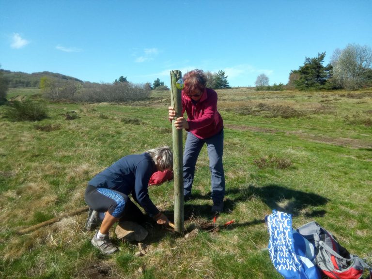 Forez : les Randonneurs Montbrisonnais veillent sur 6 circuits