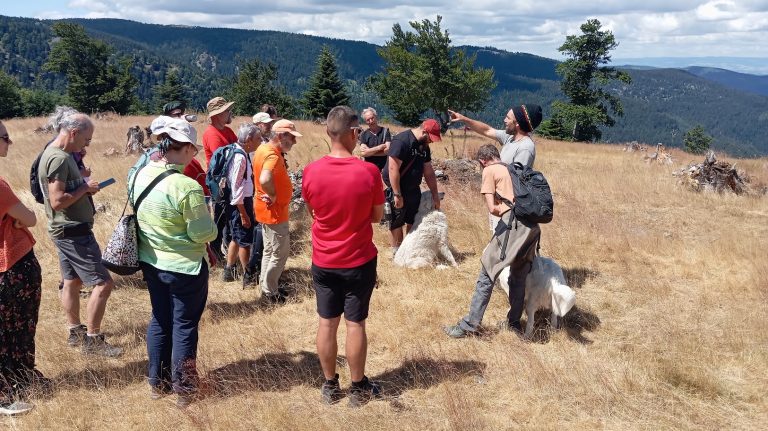 Patous : le Parc du Pilat initie des premiers échanges