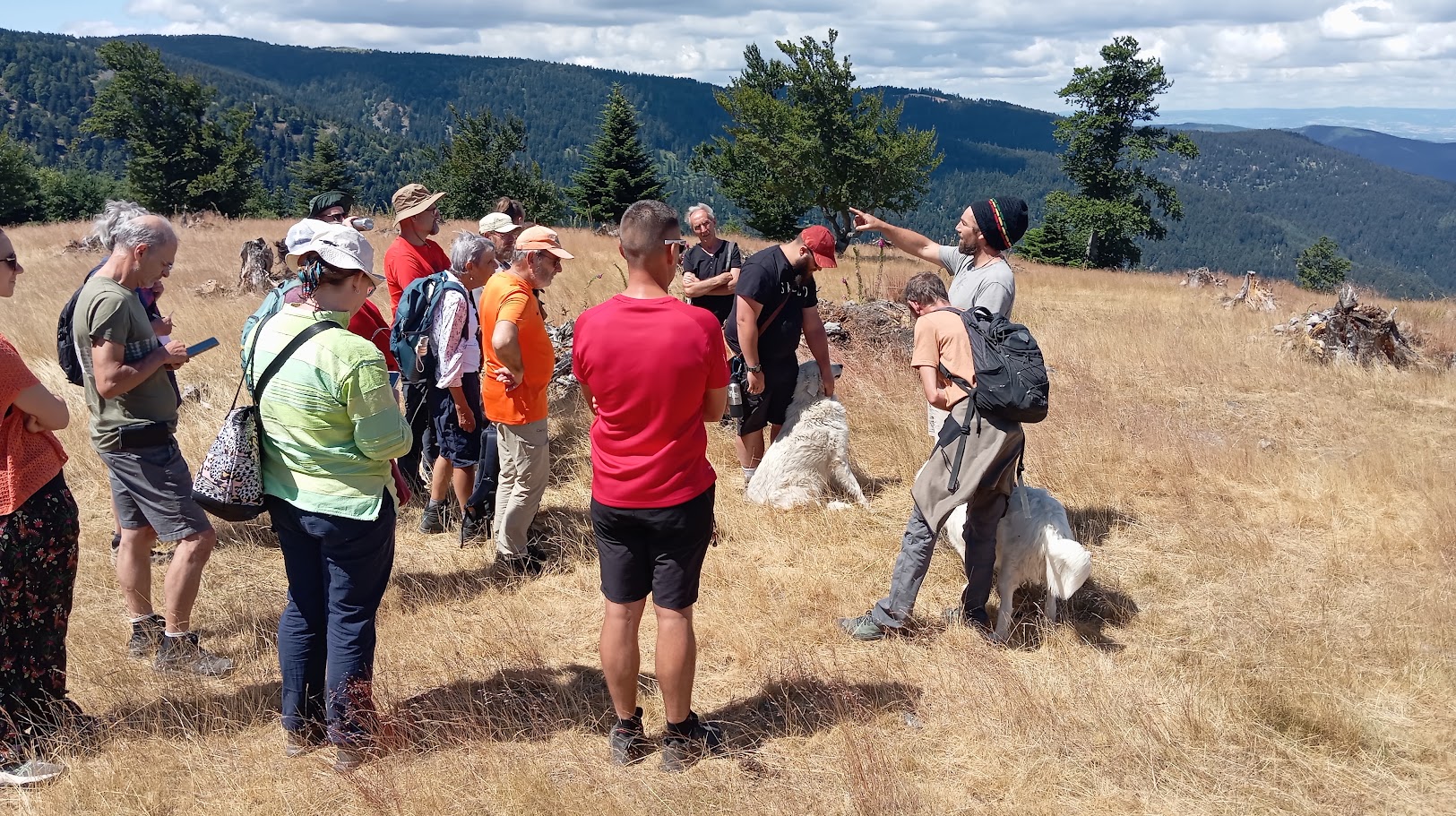 Patous : le Parc du Pilat initie des premiers échanges